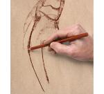 Kraft vergé rame 25F 70x100cm 120g