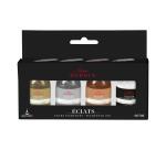 COFFRET ASSORTIMENT 4 FLACONS ENCRES ECLATS PIGMENTEES 15ml - Assortis