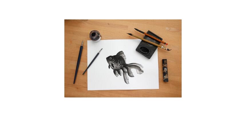 Lavis Technique paquet 10F 50x65cm 160g