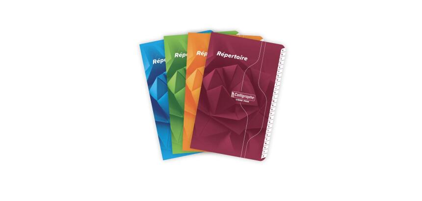 Répertoire piqué 7000 11x17 cm 96 pages petits carreaux 70 g - Assortis