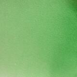 Aquarelle extra-fine godet géant - Vert permanent