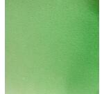 Aquarelle extra-fine godet géant - Vert permanent