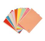 Exacompta Forever Recycled A4 Cloth Spine Folders (Pack of 25)