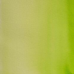 Aquarelle extra-fine godet géant - Vert de vessie