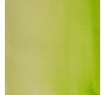 Aquarelle extra-fine godet géant - Vert de vessie