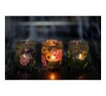 FLEURS SÉCHÉES PRÉSSÉES, Pochette de 10 pièces - Rose