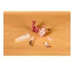 FEELGOOD, Carnet de 20 pages au format 26x21cm - Éthnique