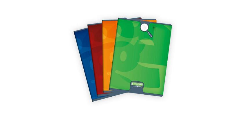 Cahier piqué 8000 CARTE 24x32 cm 96 pages petits carreaux 90 g - Assortis