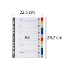 Intercalaires imprimés mensuels PP couleurs Janv-Décembre - A4 - Couleurs assorties