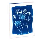 Cyanotype, Set de correspondance 12x16,5 cm contenant 8 cartes simples 11x15,5 cm assorties et 8 enveloppes Pollen C6 blanc naturel