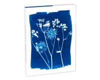 Cyanotype, Set de correspondance 12x16,5 cm contenant 8 cartes simples 11x15,5 cm assorties et 8 enveloppes Pollen C6 blanc naturel