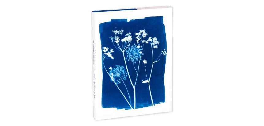 Cyanotype, Set de correspondance 12x16,5 cm contenant 8 cartes simples 11x15,5 cm assorties et 8 enveloppes Pollen C6 blanc naturel