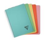 Carnet reliure intégrale Linicolor ESSENCE A5 180 pages petits carreaux couverture plastique polypropyène rainuré - Assortis