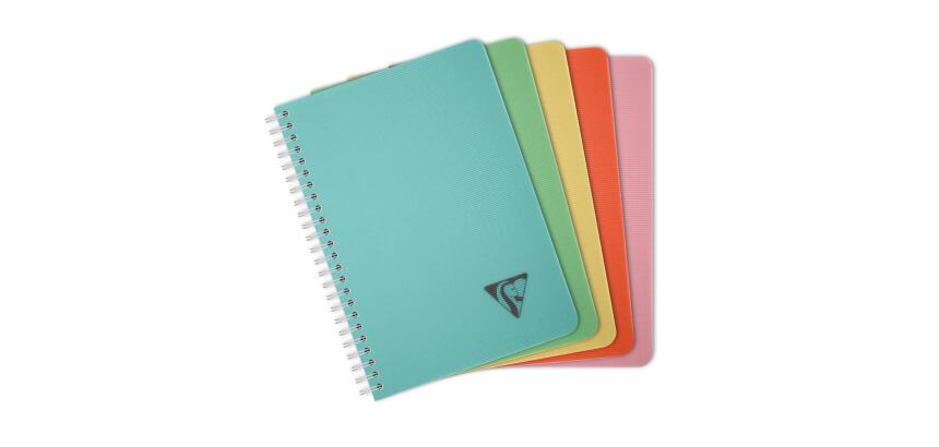 Carnet reliure intégrale Linicolor ESSENCE A5 180 pages petits carreaux couverture plastique polypropyène rainuré - Assortis