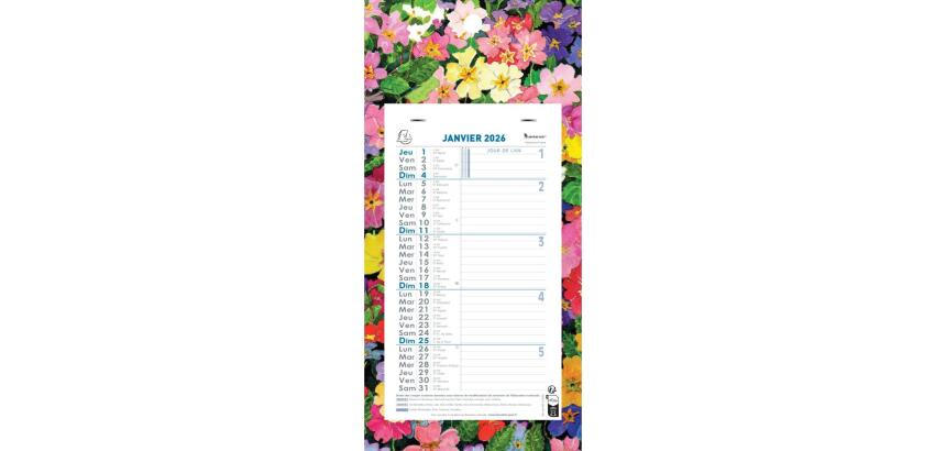 Calendrier mensuel Fleurs avec feuillets détachables 13 x 23 cm sur support plaque imprimée 16 x 33 cm 2026 - Visuels assortis