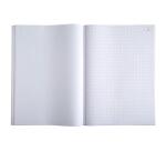 Manifold 297 x 210 geruit 50 duplicaten - haver