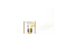 Mini-kit adulte soliflores