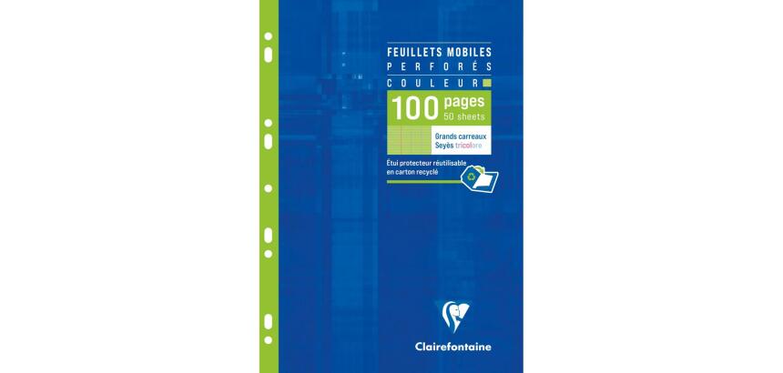 Feuillets mobiles de couleur sous étui A4 100 pages perforées grands carreaux