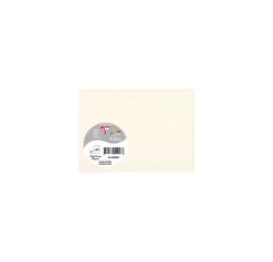 Natuurlijk wit pak van 25 enkelvoudige kaarten Pollen 110x155mm 210gm2 - Natuurwit