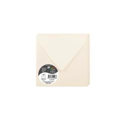 Pollen, Packung mit 20 Umschlägen 140x140 mm, 120g