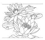 Coussin 100% soie - 40x40cm Flora - Blanc