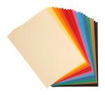 Tulipe rame 24F A4 160g