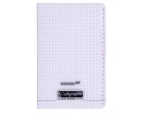 Répertoire piqué 8000 POLYPRO 11x17 cm 96 pages petits carreaux 90 g - Incolore