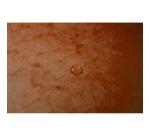 Chemise à élastique sans rabat carte lustrée 400gm2 - A4 - Orange