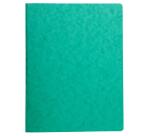 Chemise à ressort carte lustrée 425gm2 - A4 - Vert