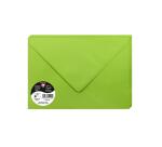 Paquet de 20 enveloppes Pollen 162x229mm 120g/m²