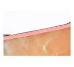 Pochette à fermeture éclair en plastique souple Candy Tidy - A6 - Couleurs assorties
