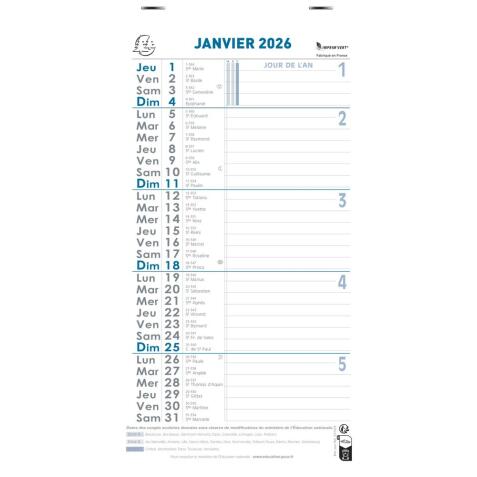 Calendrier bloc mensuel avec feuillets détachables sans support 15,5 x 28,5 cm 2026