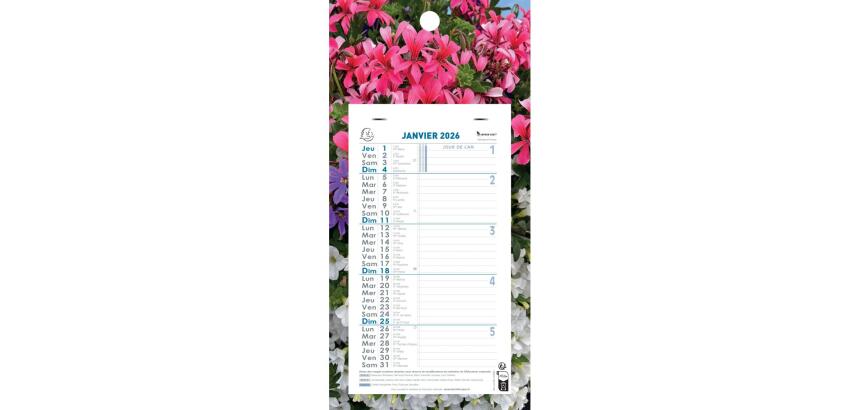 Calendrier mensuel Nature avec feuillets détachables 13 x 23 cm sur support plaque imprimée 16 x 33 cm 2026 - Visuels assortis