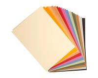 Tulipe rame 24F 50x65cm 160g - Assortiment pastel