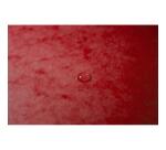 Chemise à élastiques Maxi capacity carte lustrée 425gm2 - A4 - Rouge