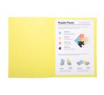 Pk 100 Folders SUPER 160 Salmon