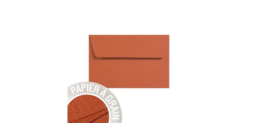 Paquet de 5 enveloppes Grain de Pollen 90x140mm 120g/m²