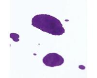 Buvard paquet 25F 50x65cm 200g - Blanc