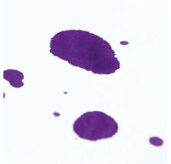 Buvard paquet 25F 50x65cm 200g - Blanc