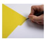 Intercalaires polypropylène recyclé Forever Young 10 positions - A4 - Couleurs assorties