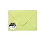 Sachet de 5 enveloppes Pollen C5 162x229 120g/m2