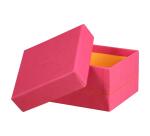 Rhodiarama set 5 boîtes gigognes simili cuir italien 44x34x16 cm - Framboise