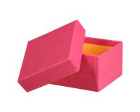 Rhodiarama set 5 boîtes gigognes simili cuir italien 44x34x16 cm - Framboise