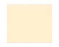 Tulipe rame 100F A4 160g - Ivoire