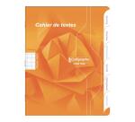 Textes piqué 7000 17x22 cm 120 pages grands carreaux 70 g - Assortis