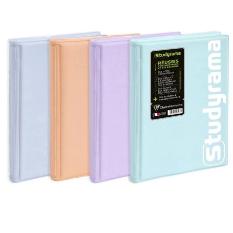 Agenda Studyrama Pastel 14 x 20 cm Journalier Août 2025 à Juillet 2026 - Couleurs assorties