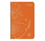 Carnet piqué FOREVER PREMIUM 100% recyclé 9x14cm 96 pages petits carreaux papier recyclé blanc 90 g - Assortis