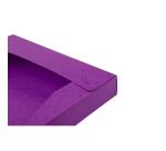 Cartobox® Cartulina lustrada 7/10e - 600 g/m2 - Lomo: 40 mm - Formato de documento: A4 - Tamaño: 25x33cm