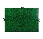 Carton à dessin Annonay 3 cordons 75x105cm - Vert