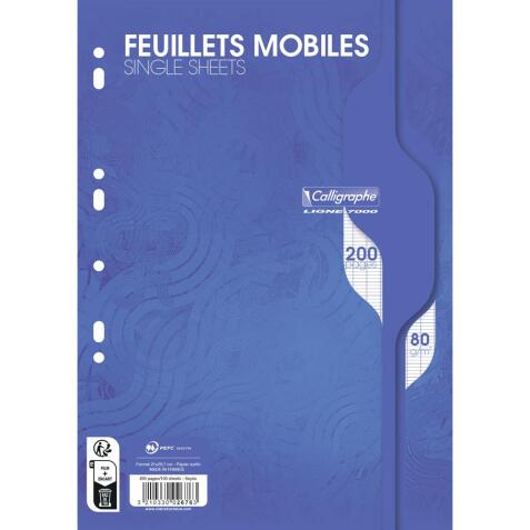 Feuillets mobiles sous film 7000 A4 200 pages perforées grands carreaux 80 g